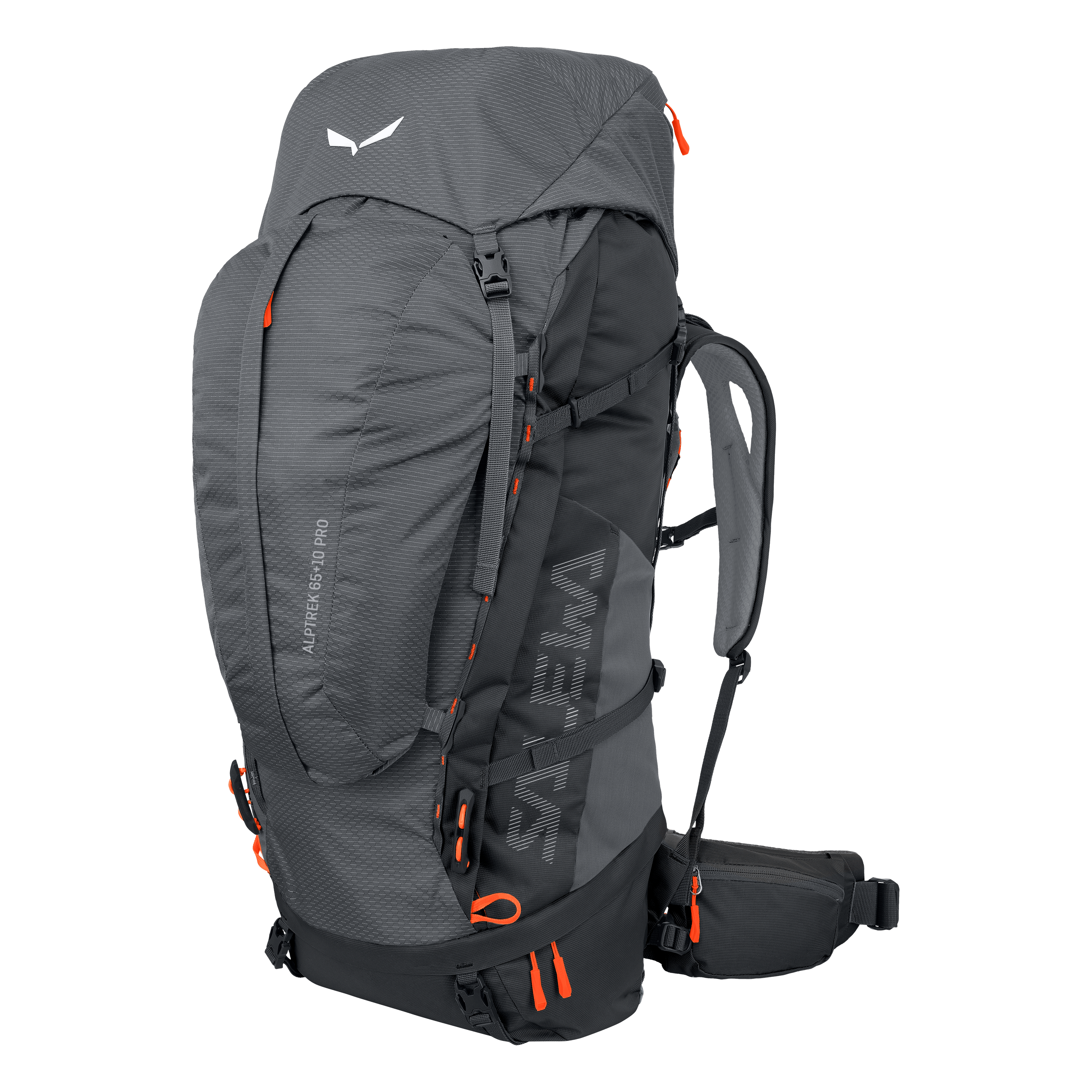 Alptrek 65+10 L Pro-resvåg