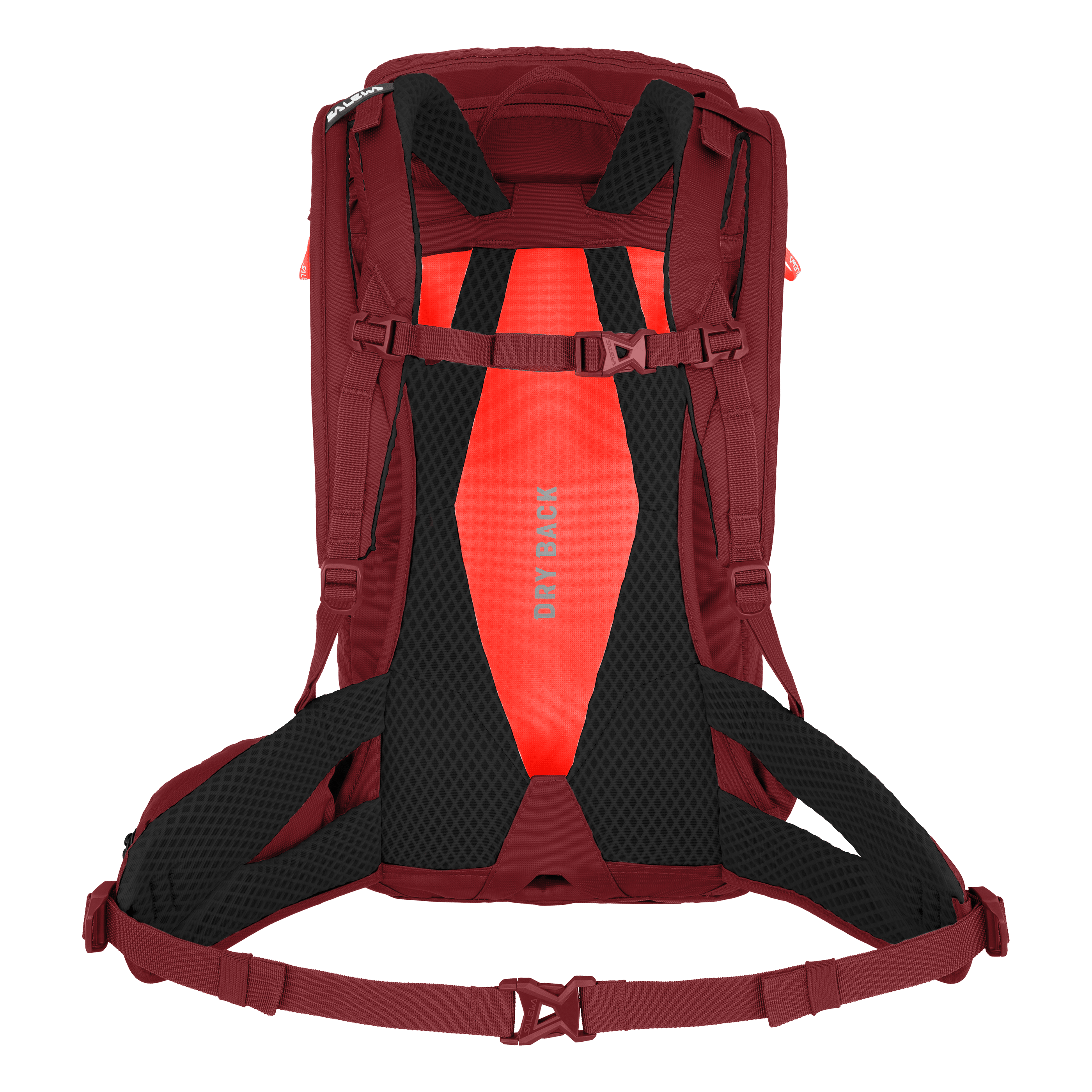 Alp Trainer 20L ryggsäck för kvinnor