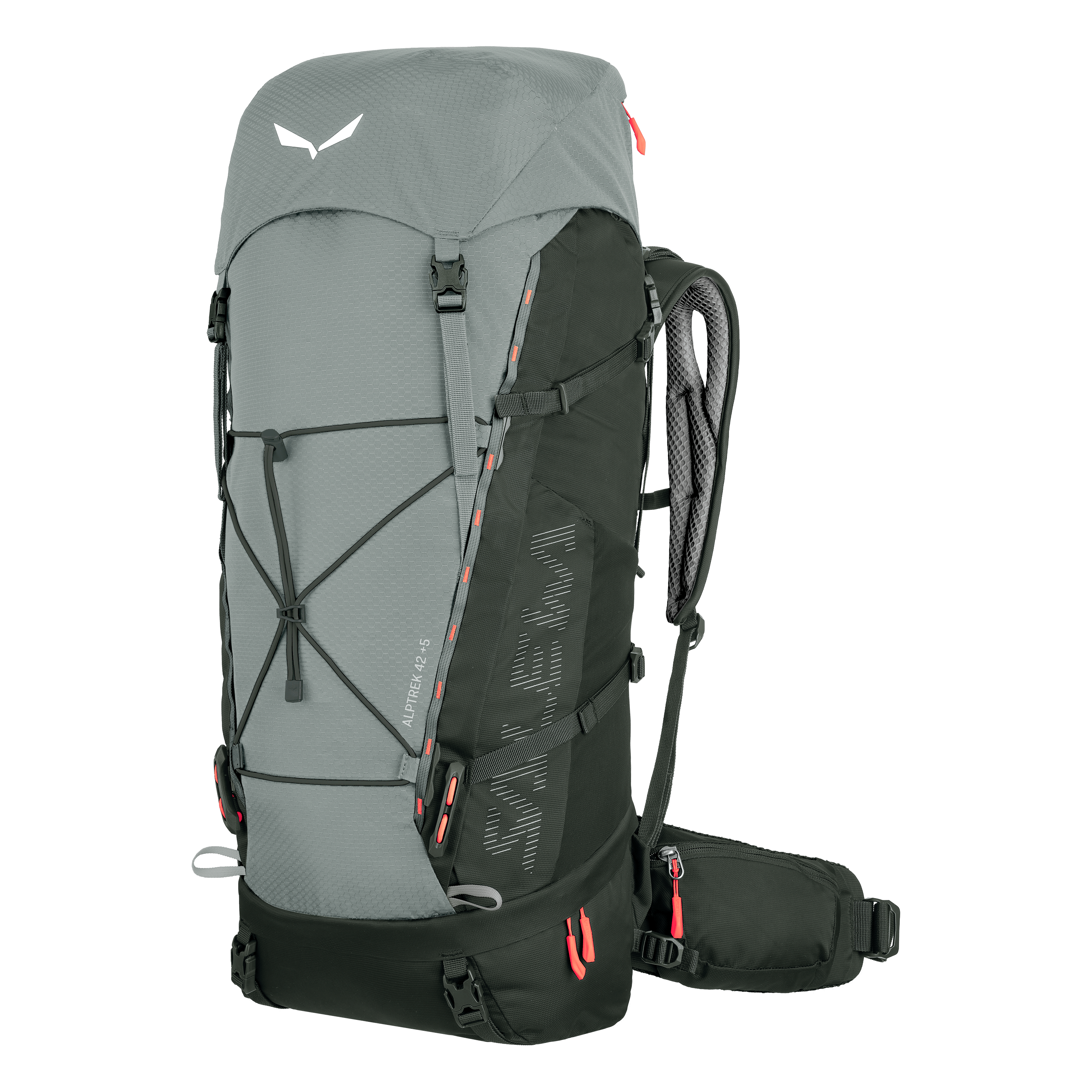 Alptrek 42+5 L rygga