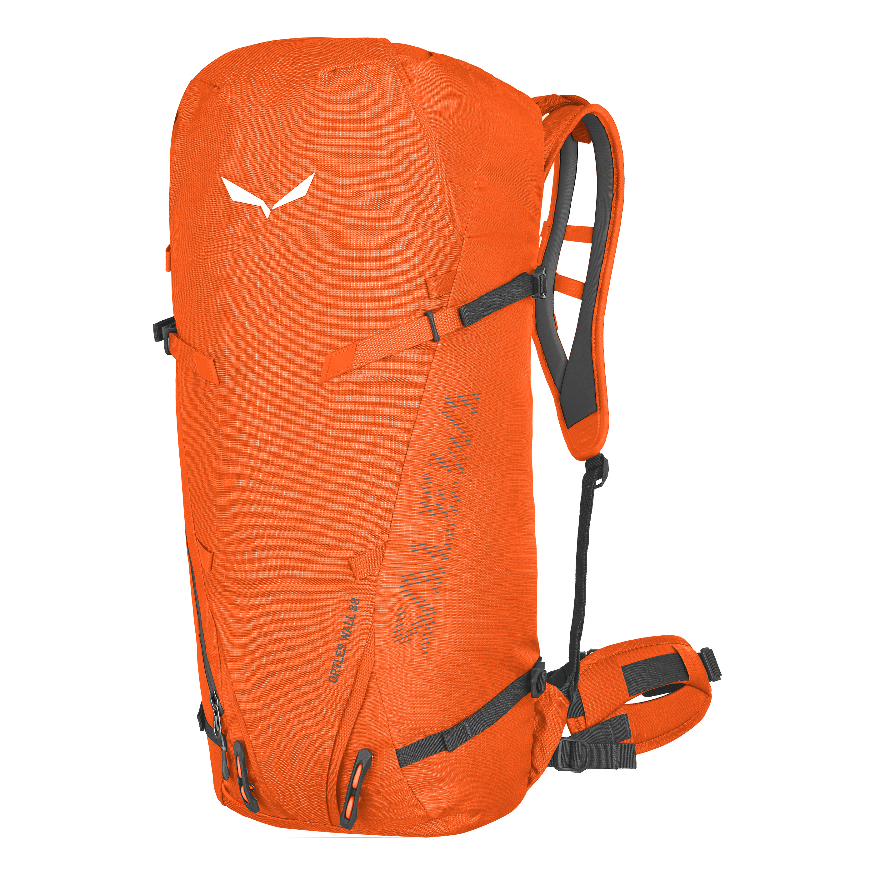 Ortles Wall 38L rygga