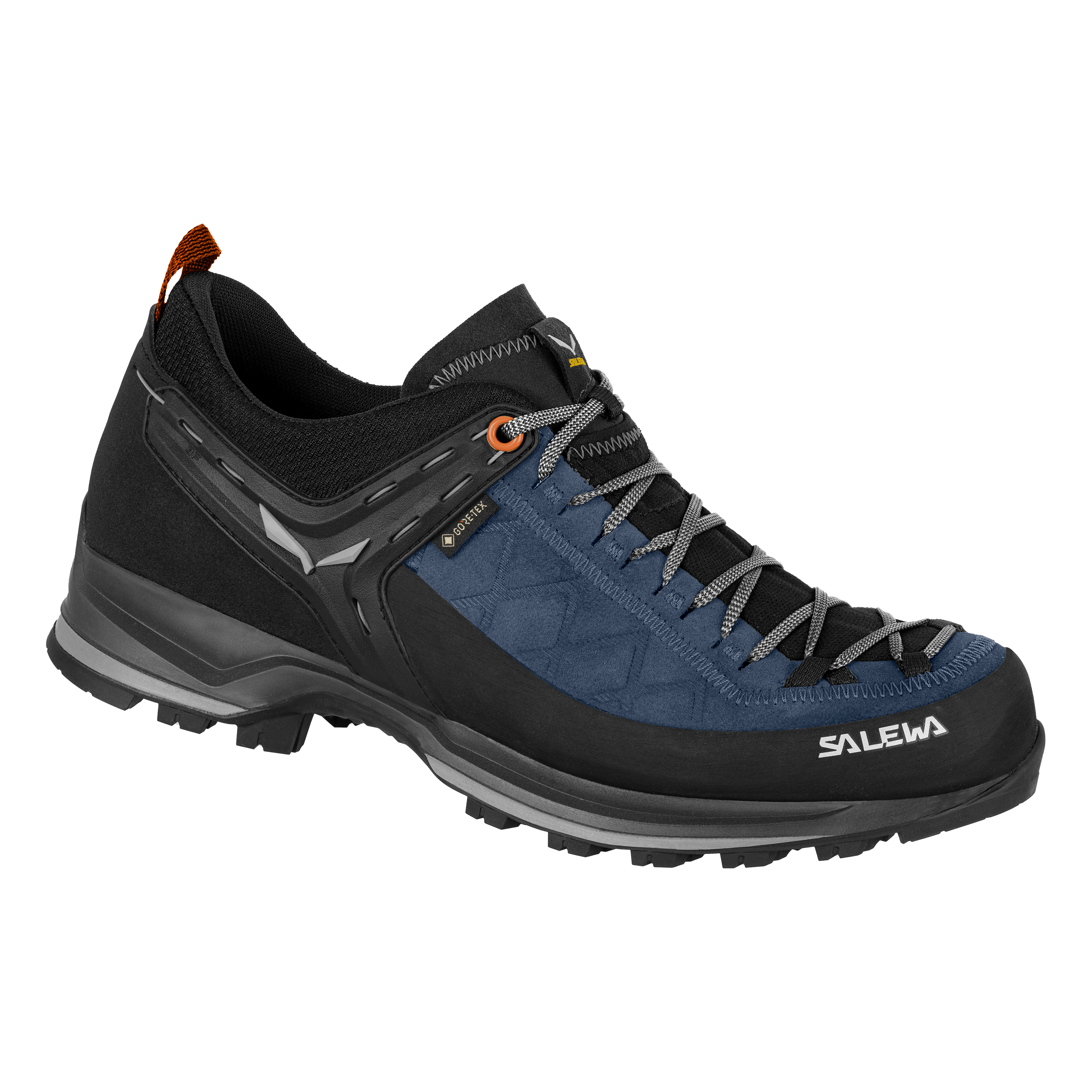 Mountain Trainer 2 GORE-TEX® Herrarskä