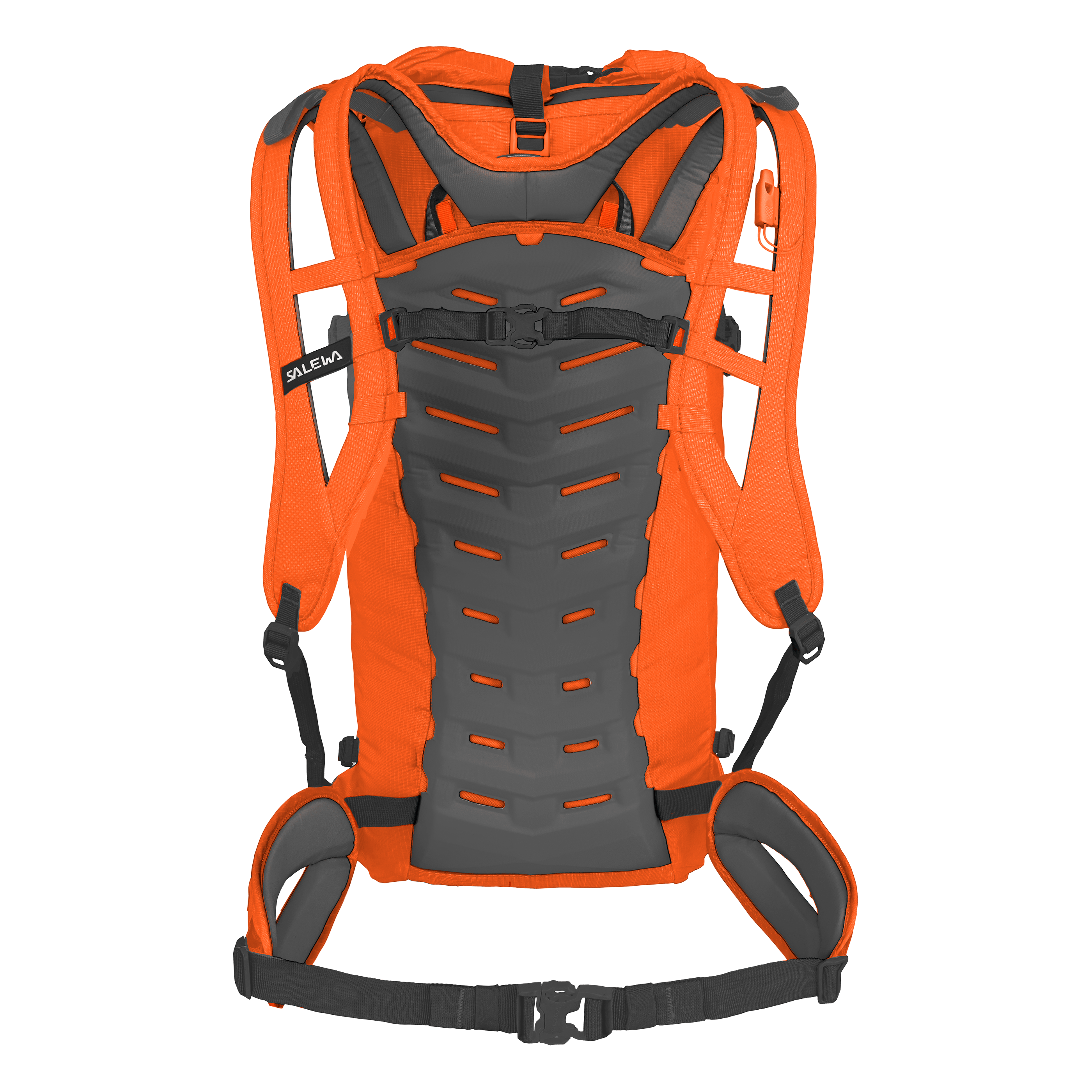 Ortles Wall 38L rygga