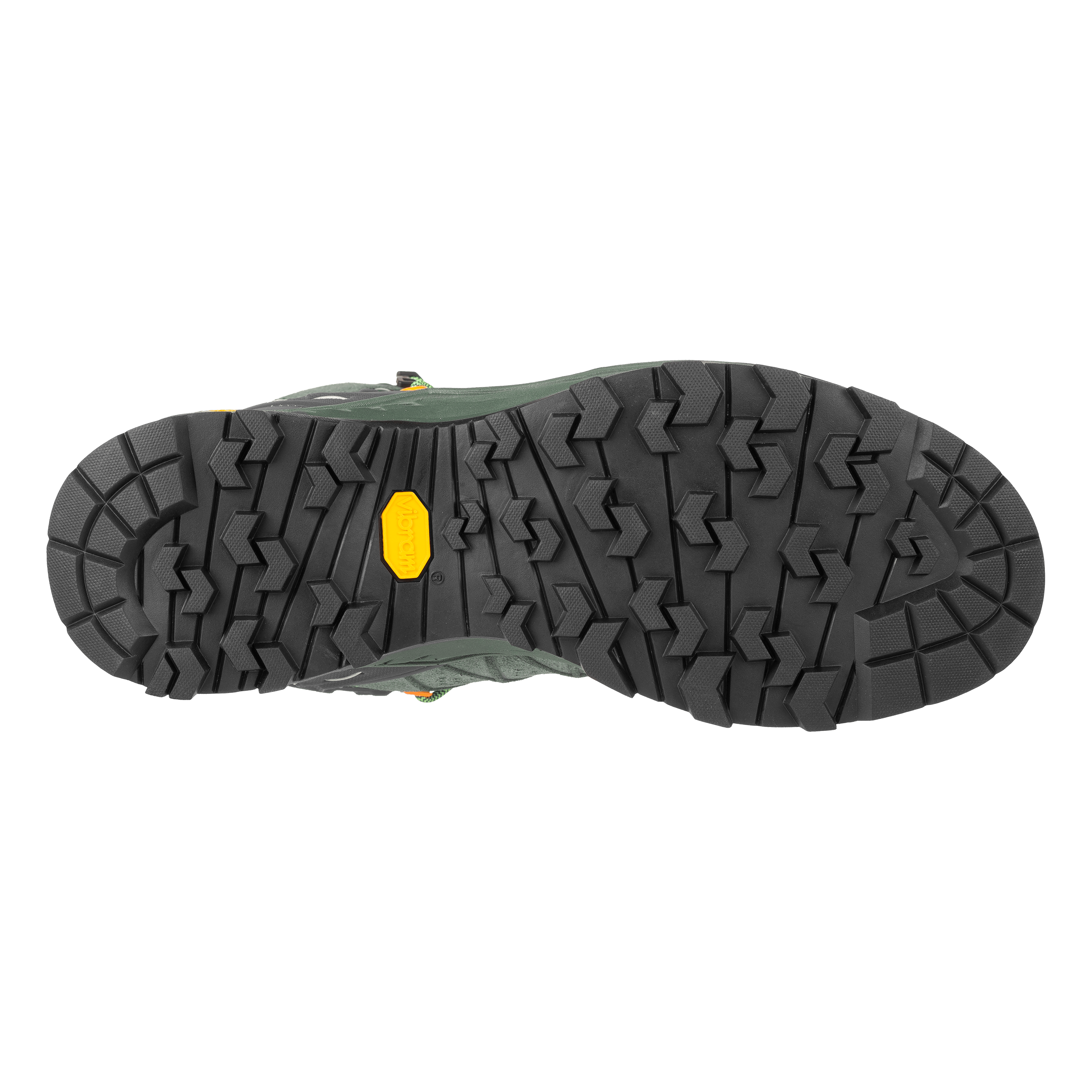 Alp Trainer 2 Mid GORE-TEX® Herre-sköld