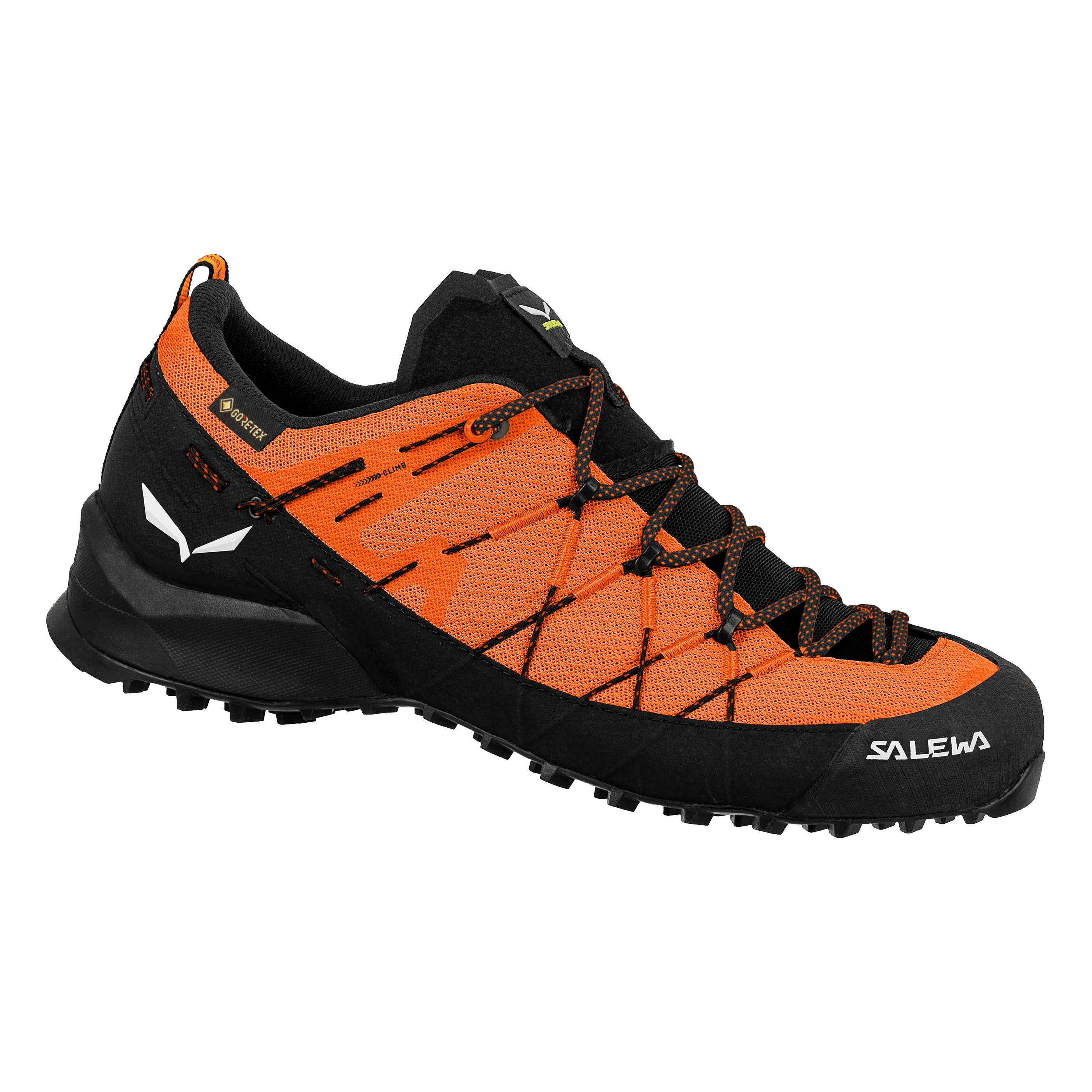 Wildfire 2 Gore-Tex®-sko för herrar
